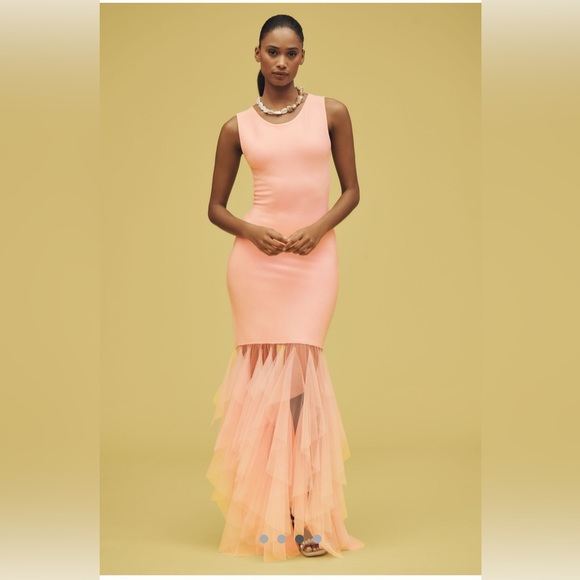 Blithe Dresses & Skirts - Blithe Knit Tulle Sleeveless Maxi Dress- Size Small